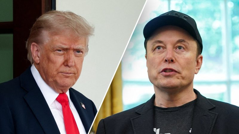 LIZ PEEK: Musk throws his own party because he’s mad at President Trump
