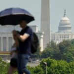 Big government, big problems: Public corruption highest in places with large bureaucracies, report says