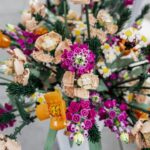 Lego hits record revenue in first half of 2025, boosted by brick flowers and cars