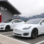 Tesla’s European sales see growth in 2025: what to expect from Q3 deliveries