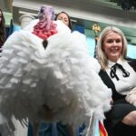 How the White House turkey pardon became an American tradition