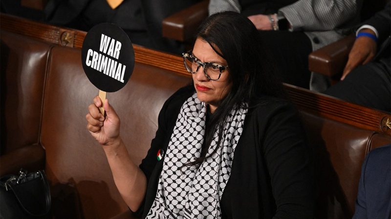 Watchdog releases scathing report on Tlaib’s alleged ties to terrorist groups, warning of ‘potential risks’