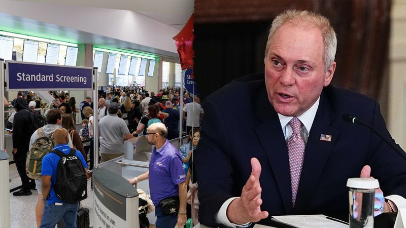 171 million travelers face airport delays as Democrats’ DHS shutdown hits TSA staffing, Scalise warns